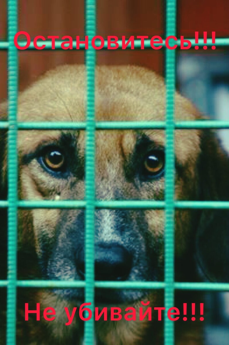 фото для иллюстрации из источников свободного доступа интернета 