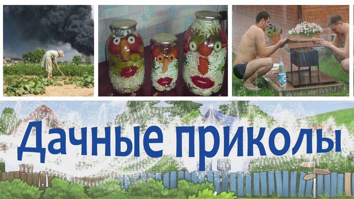 Картинка дача огород шуточные картинки