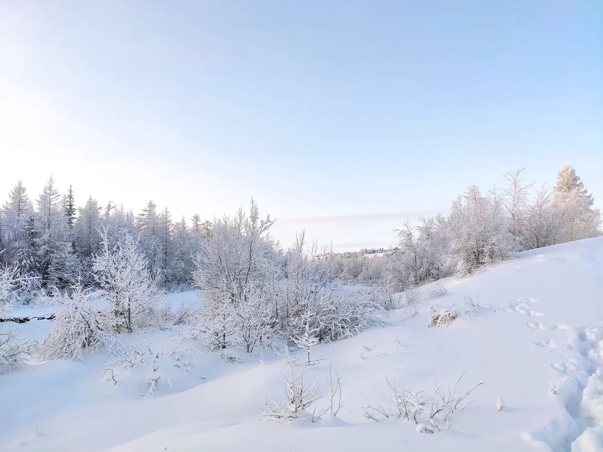 Зима на севере. Фото из личного архива