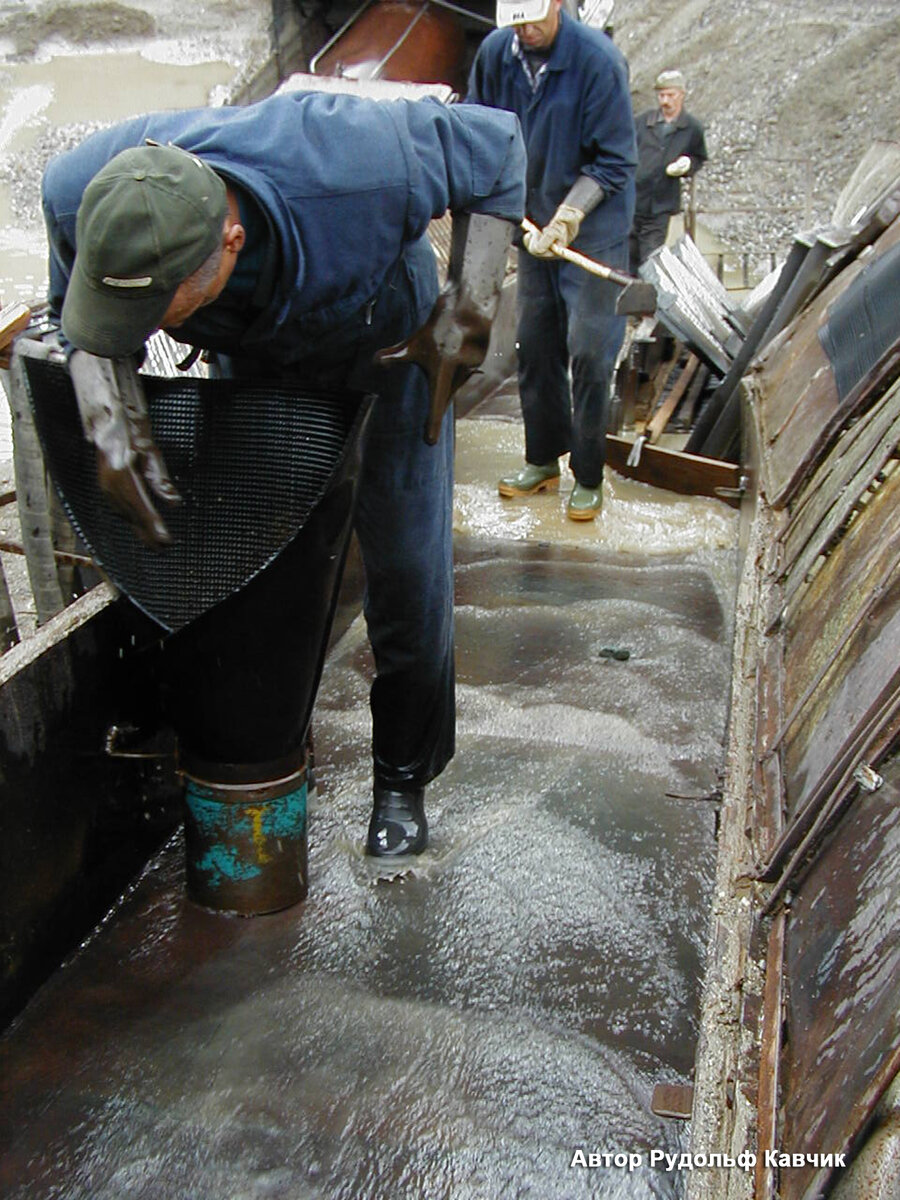 Съемка золота со шлюза промприбора. Золото с золотоулавливающих ковриков смывают в специальные контейнеры, которые опечатывают и везут в ЗПК. 