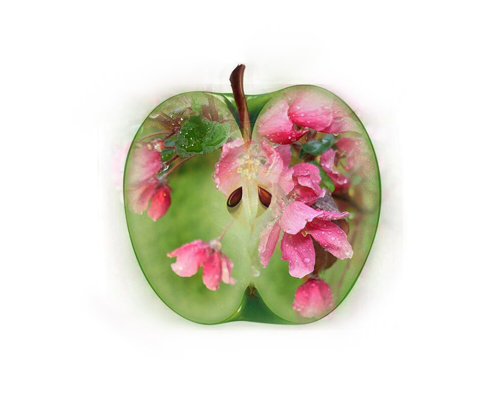 Картинка взята из источника: Яндекс картинки