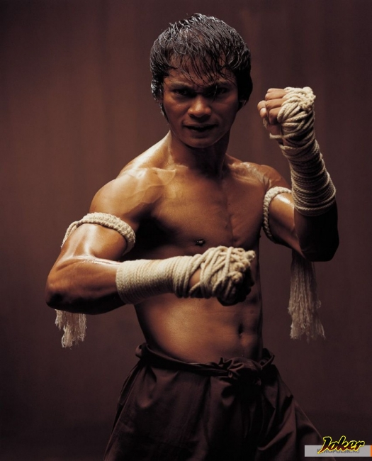 Фотография взята из сервиса Яндекс Картинки