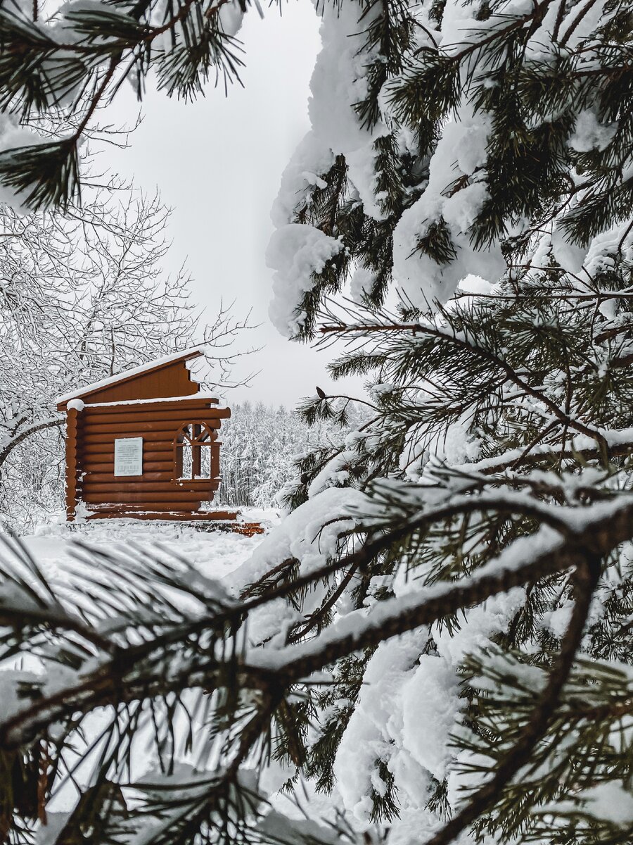 Фото принадлежит автору блога