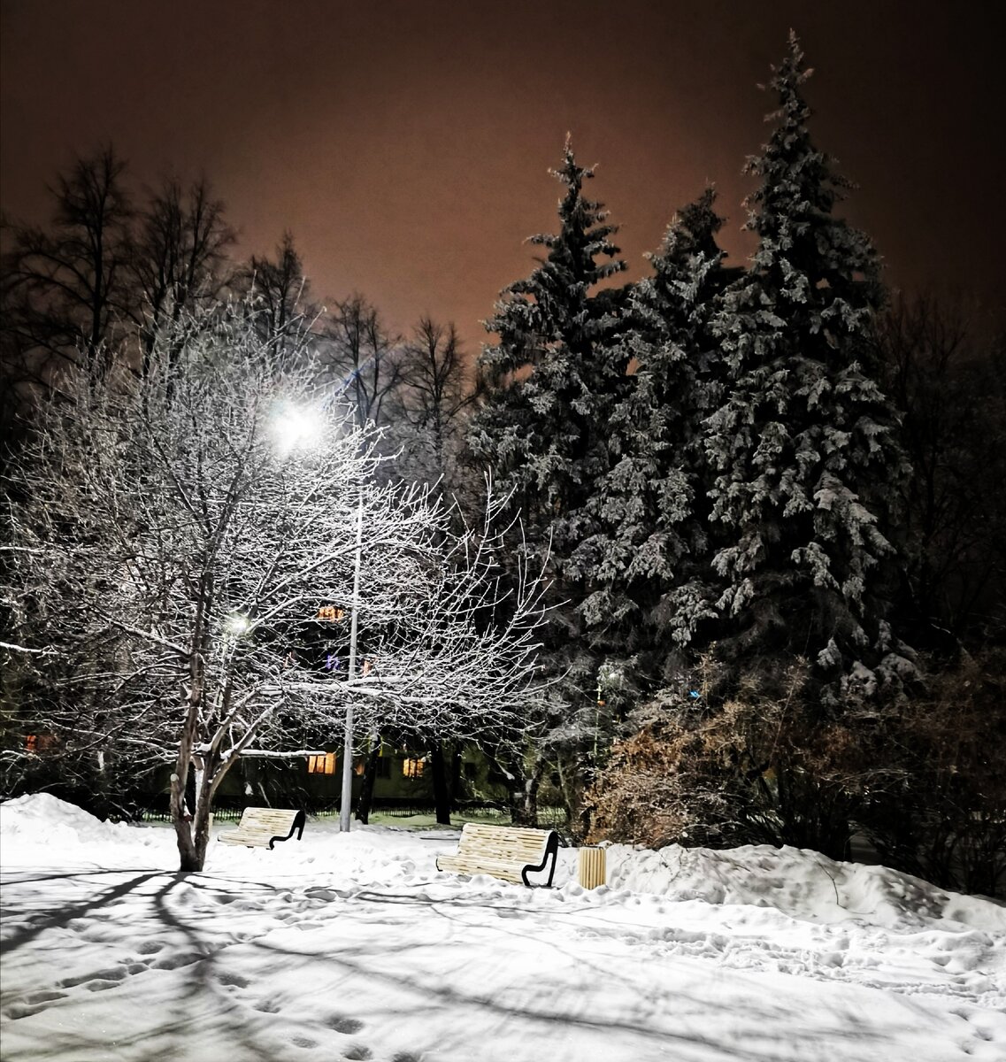 Екатерина Шлеменкова 