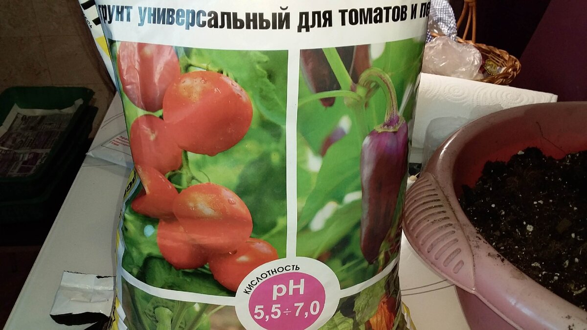 грунт универсальный