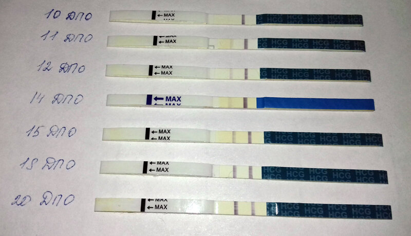 Есть ли смысл делать тест на 11 ДПО? - Советчица