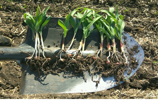 ............................... 1 ..................................  2   ..................................... 3 ........................................