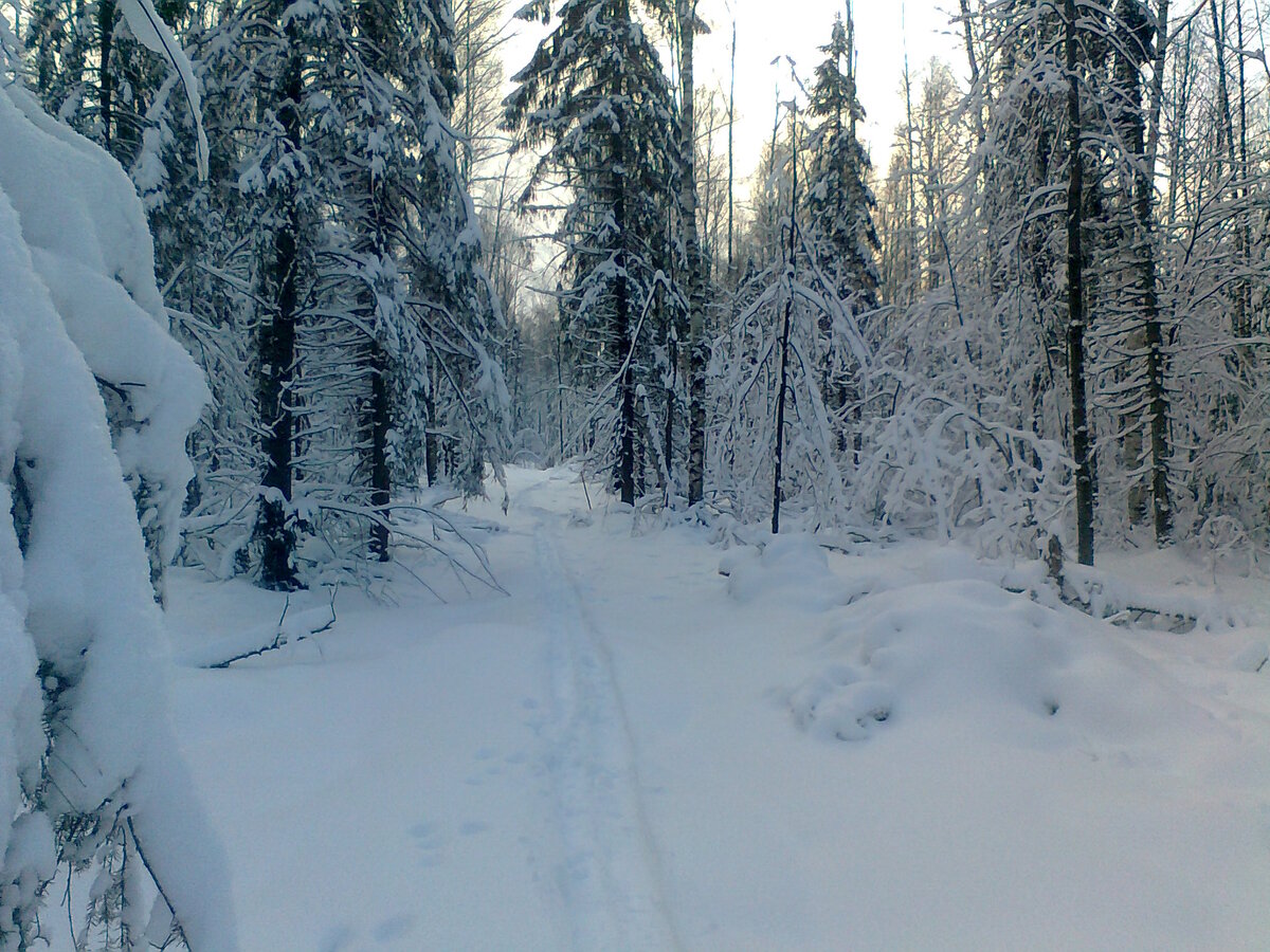 Ждем косого. Из личного.