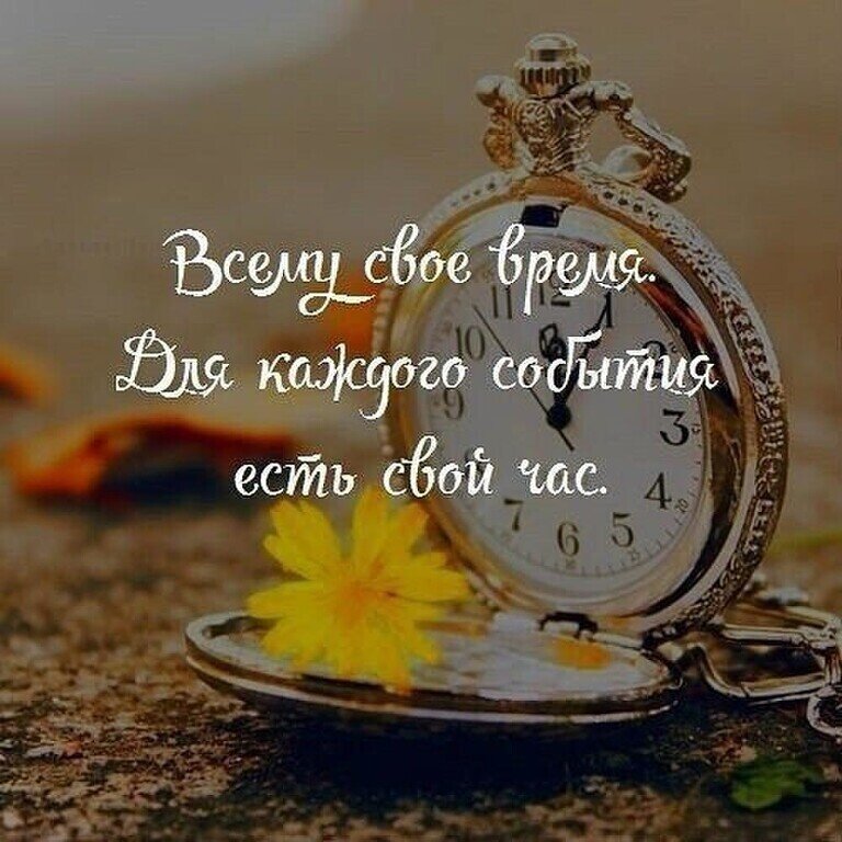 Изображение из сети Интернет