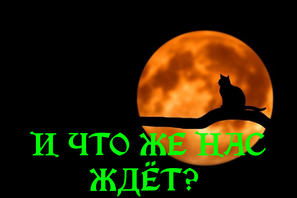 А вы знали.... 