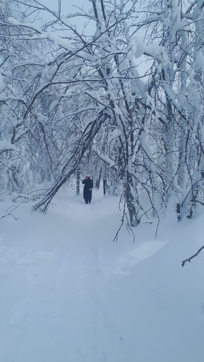 Тропинка от дороги до Каменного Города 