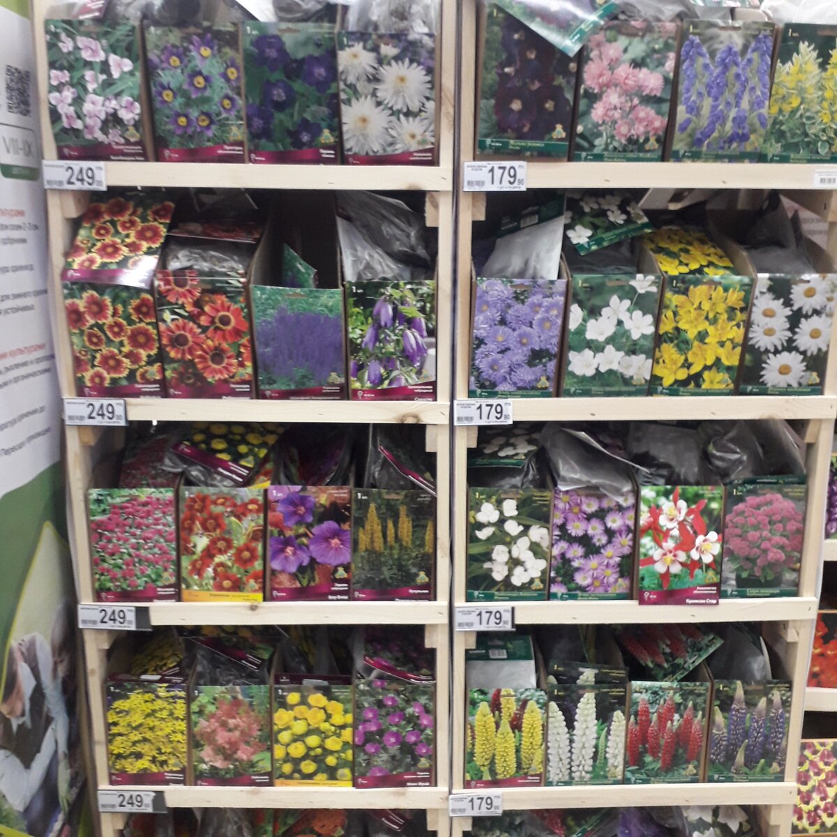 Сравнила цены на саженцы и луковицы цветов в АШАНе и ОБИ. Много фото.