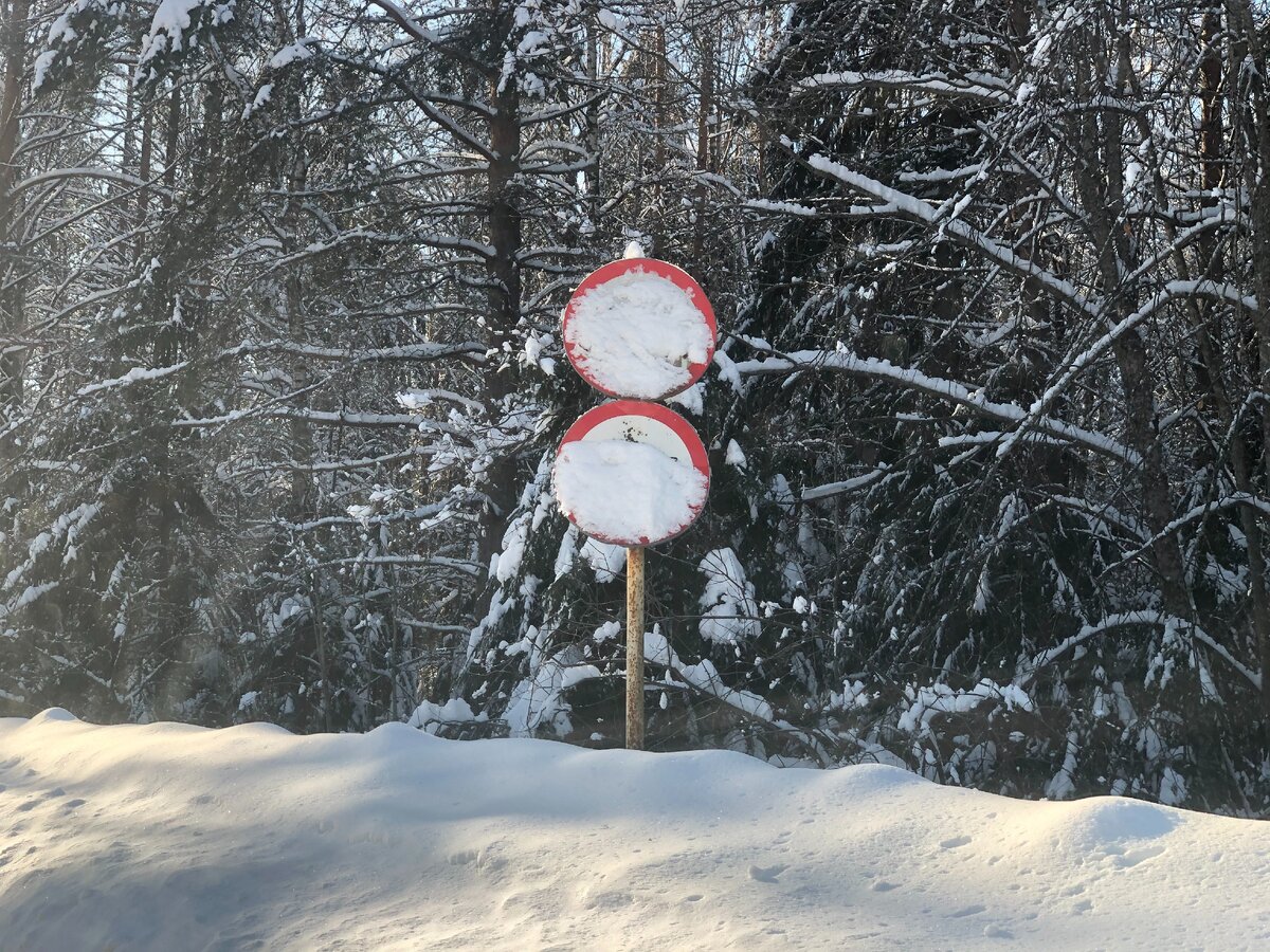 Фото А.Дороткевича, газета "Городской курьер"