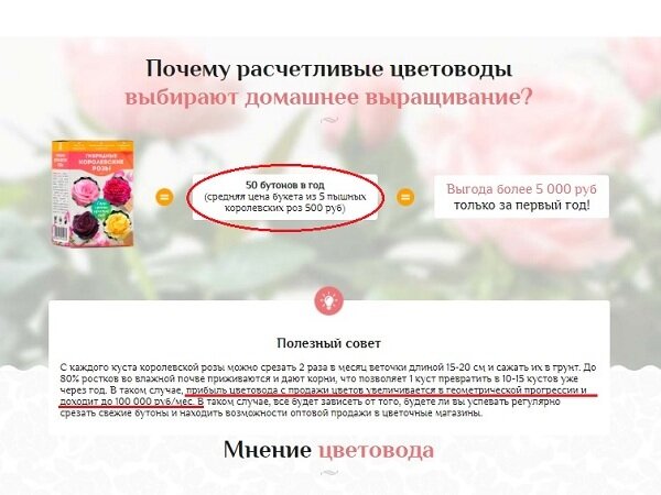 Скриншот с сайта продавца. Мы умышленно не даем ссылку на авторство фото, дабы не рекламировать мошенников