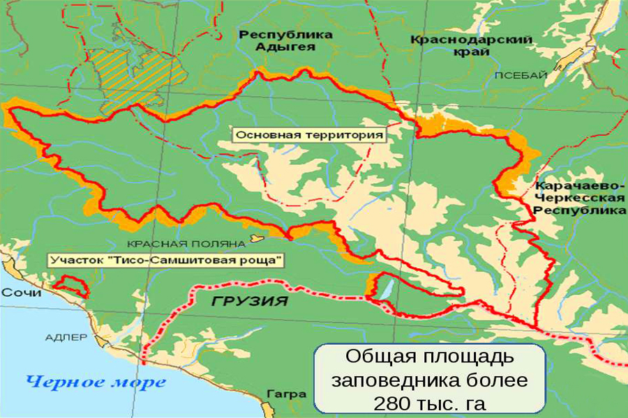 Чтобы вы понимали, насколько это близко к людям. С сайта https://rus.team/