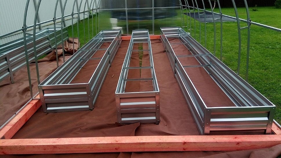 Фотография взята из источника poumu.su