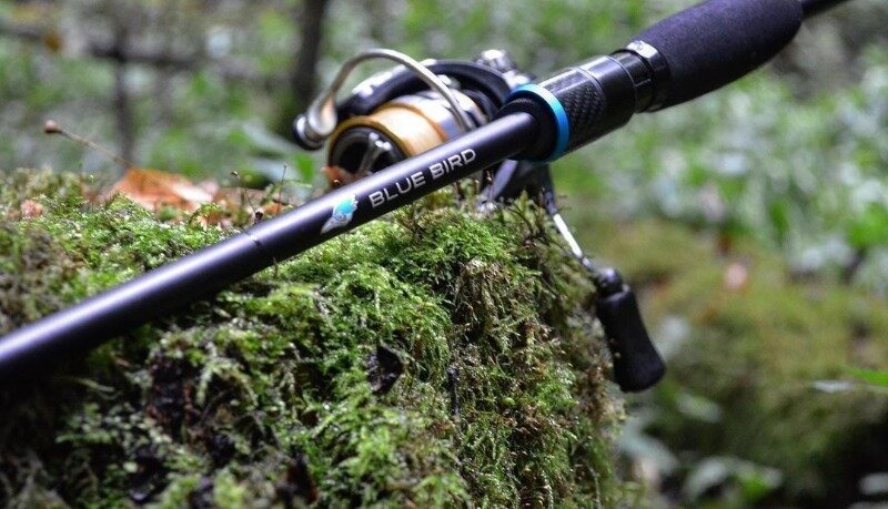 Фото https://www.instagram.com/p/CF6BpD3Doz6/