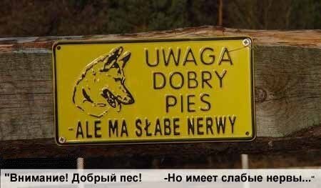 Картинка с просторов