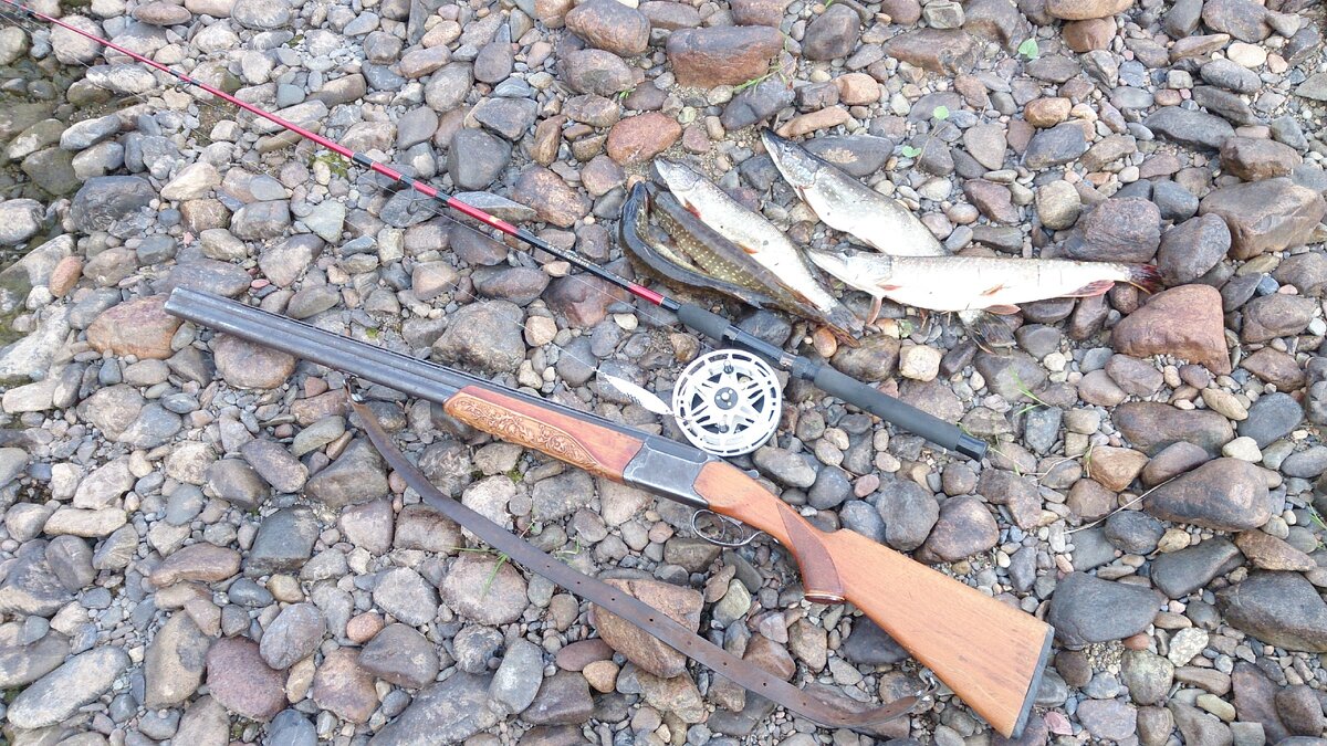 Вот основные инструменты выживания которые ВСЕГДА вкусно накормят! Не надо дорогих лодок и машин, домов на колесах, кучи припасов и необыкновенных (и как правило очень дорогих) снастей - тайга всегда дасть все необходимое.