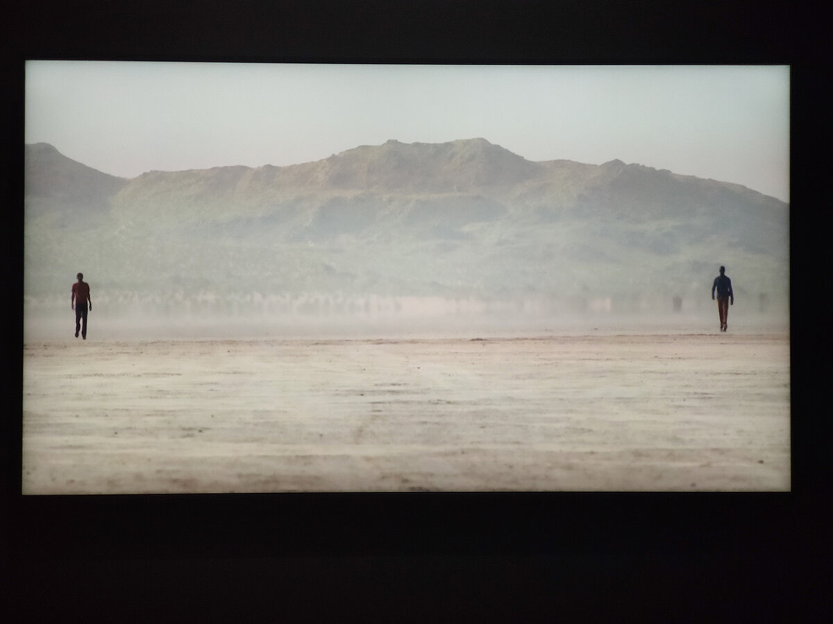 Открытие выставки «Билл Виола. Путешествие души» в ГМИИ имени А.С. Пушкина © vtbrussia.ru