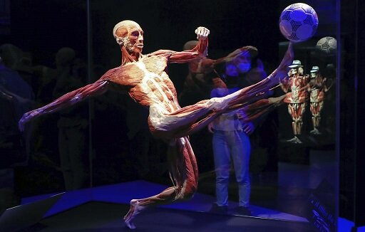 Выставка "Мир тела" на ВДНХ