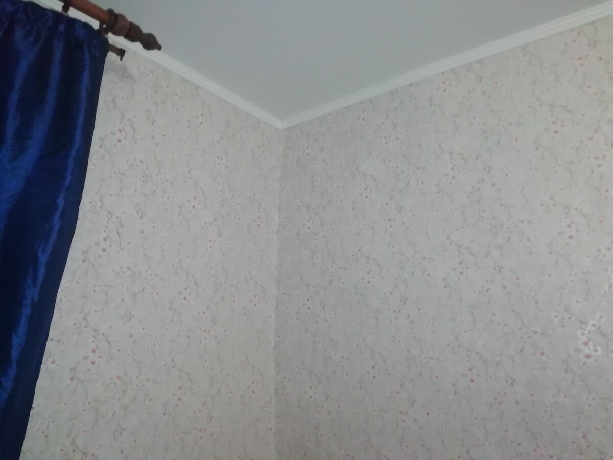 обои цветущая вишня, натяжной потолок