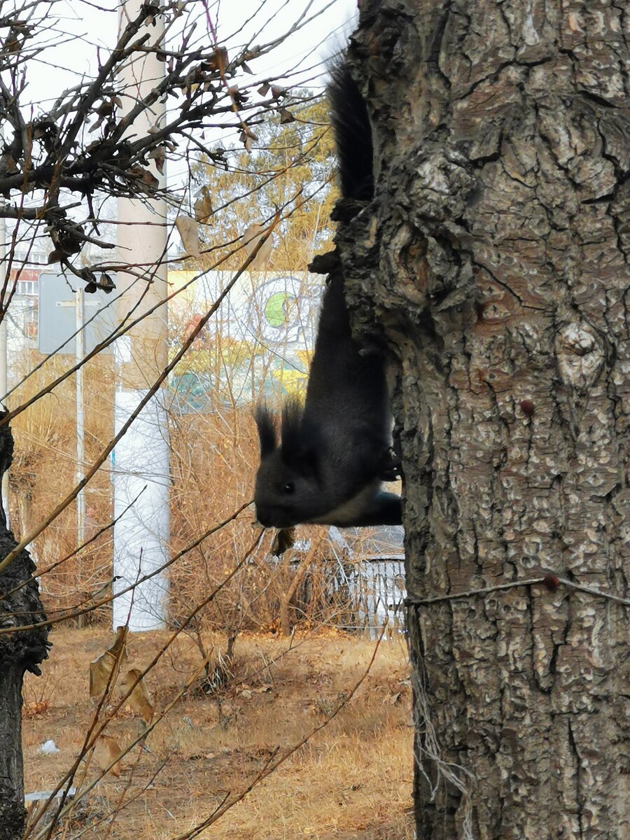 Да, и прогулки с самыми глубокими и честными разговорами - в их числе