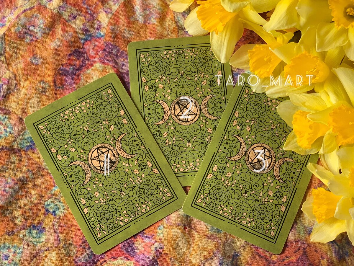 Фото из личной коллекции автора 