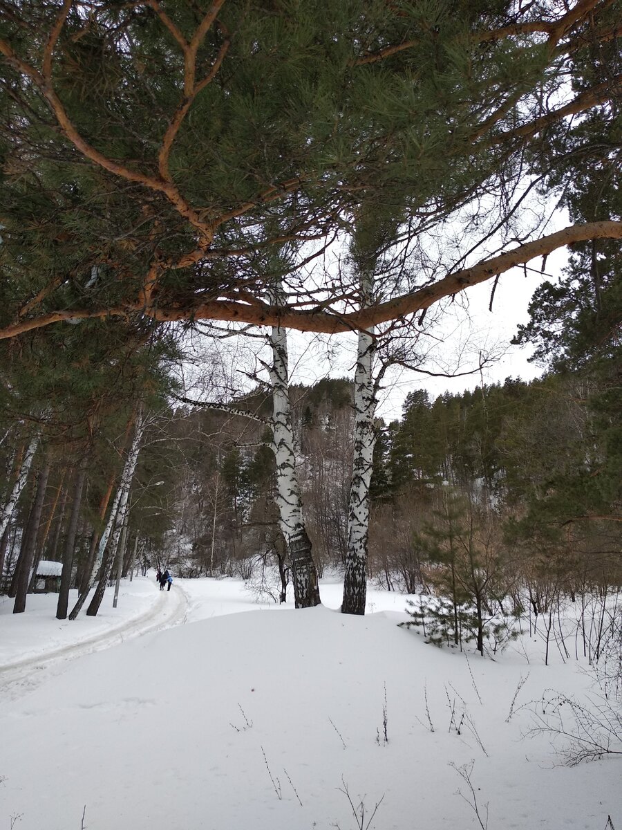 Живописные терренкуры в горах курорта