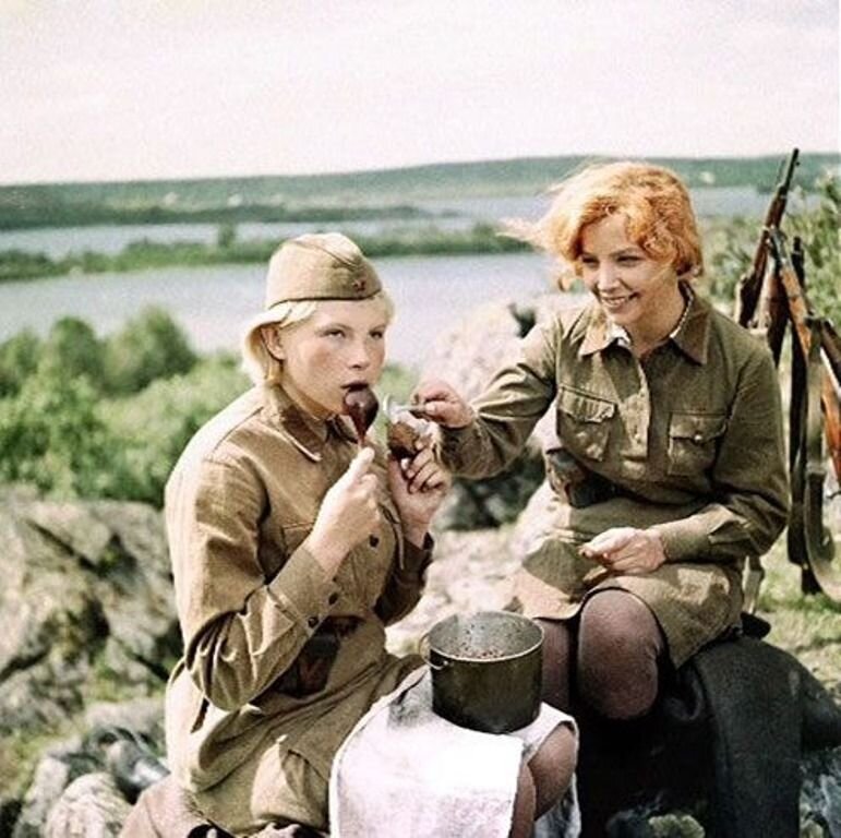А зори здесь тихие проект