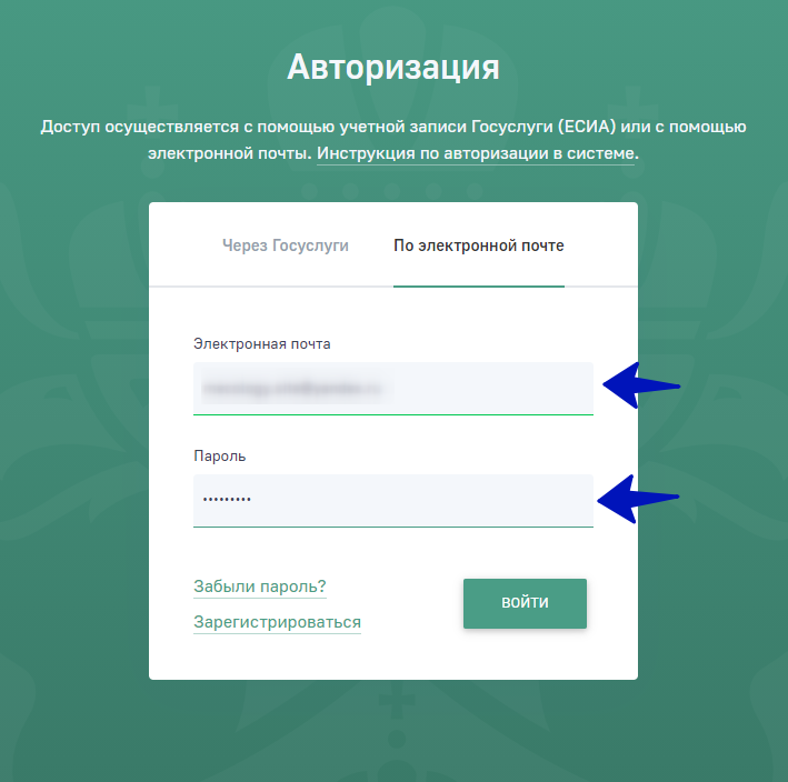 Окно авторизации через электронную почту