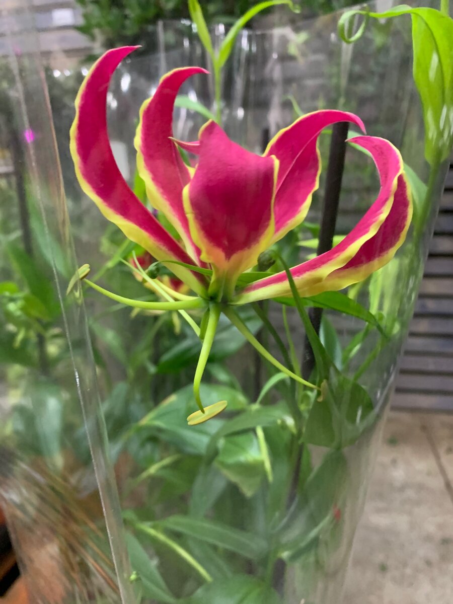 Просто космос