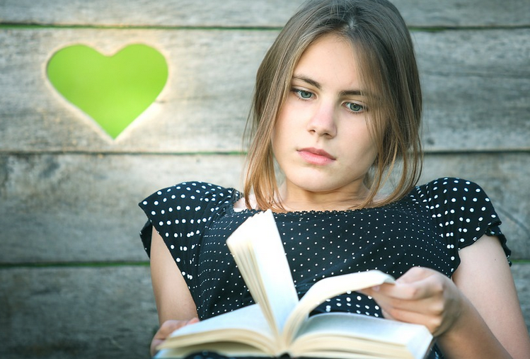 Источник - https://pixabay.com