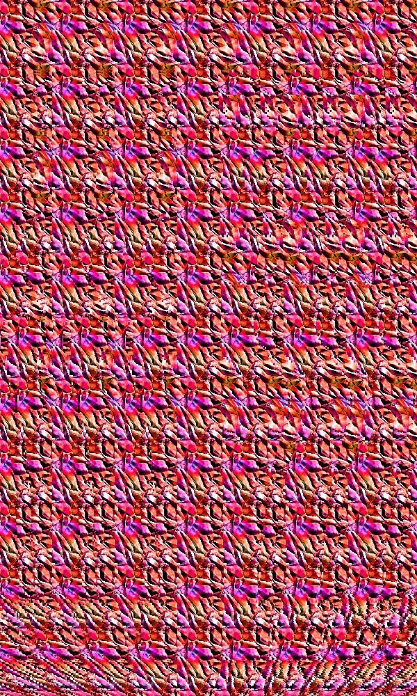 Стереокартинка ALGAL