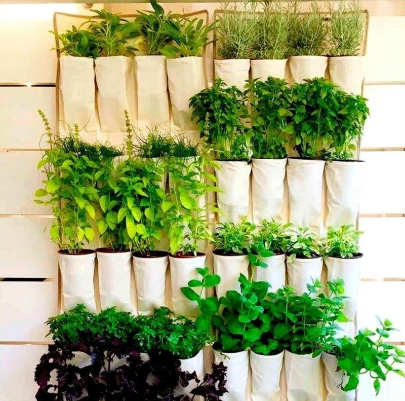 Фото https://www.instagram.com/p/B_JucUliS5x/