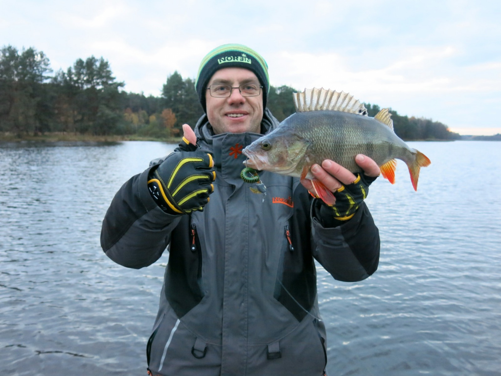 Меькенский коряжник. Джиг в коряжнике. Ловля судака дальнегорск. Загрязненная вода в саратове. Коряжнике.