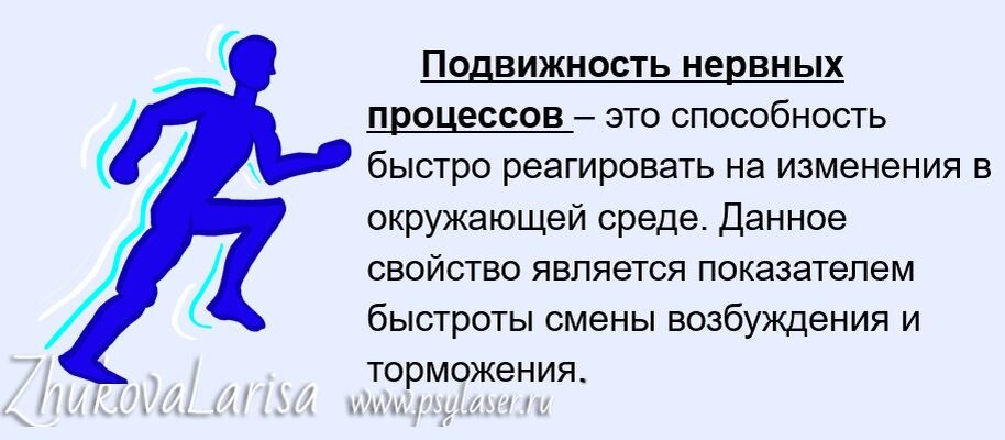 Тип темперамента обусловлен свойствами цнс. Сангвиник личности. Типа сильный. Подвижность темперамента это. Виды темперамента.