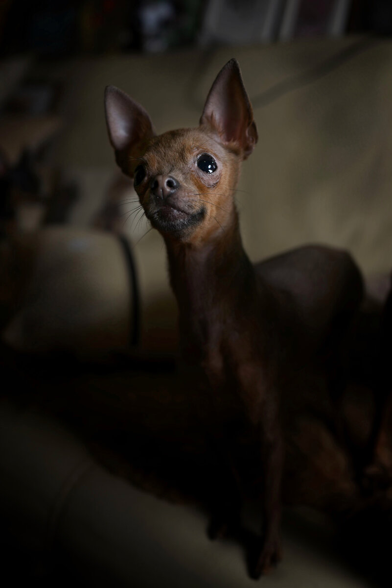 Очаровательный взгляд!