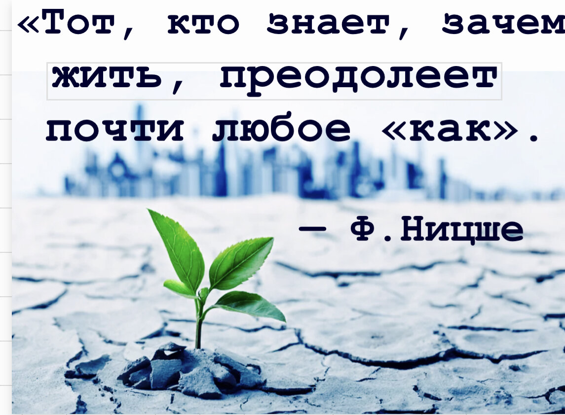 Жить бесцельно. Цельная жизнь книга. Жить бесцельно. Жить бесцельно. Жить бесцельно.