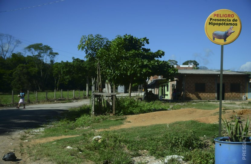 Место Асьенде Наполес, отведенное под гиппопотамов