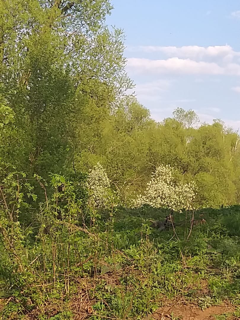 яндекс картинки