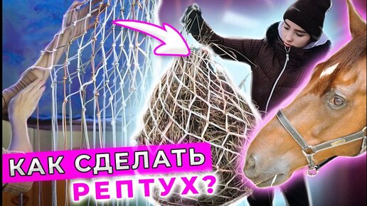 Конный DIY: Как сделать РЕПТУХ для ЛОШАДИ?