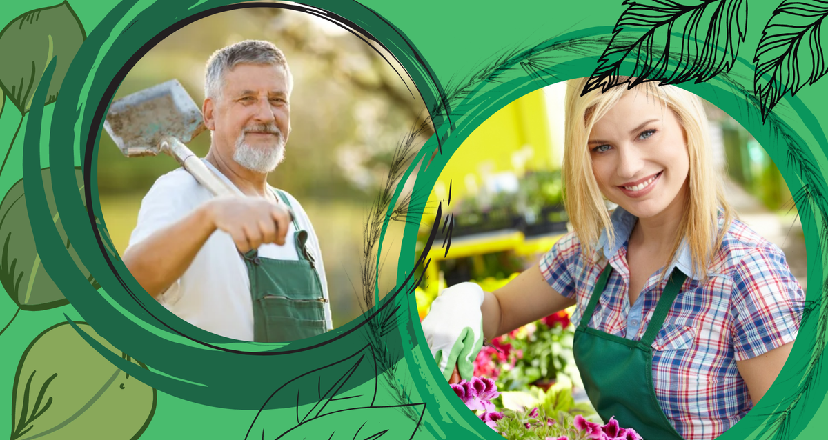 Коллаж создан автором канала в Canva