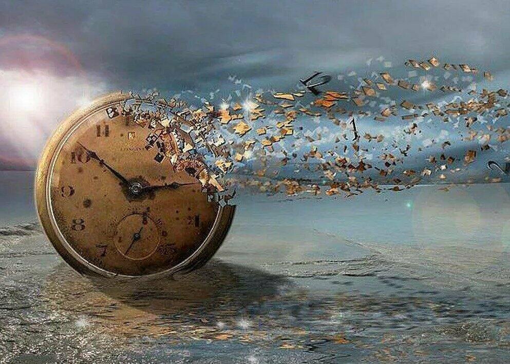 ...никто из нас не уйдёт отсюда живым...