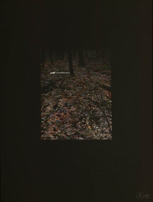 Васильев. Серия «Свет в лесу» II. 1994-7.