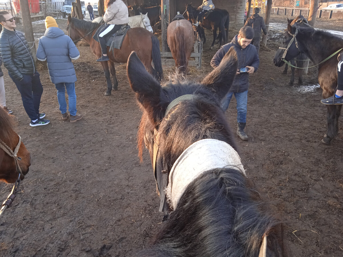 Фото, сделанное сидя на коне. 