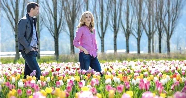 Романтика марта... 