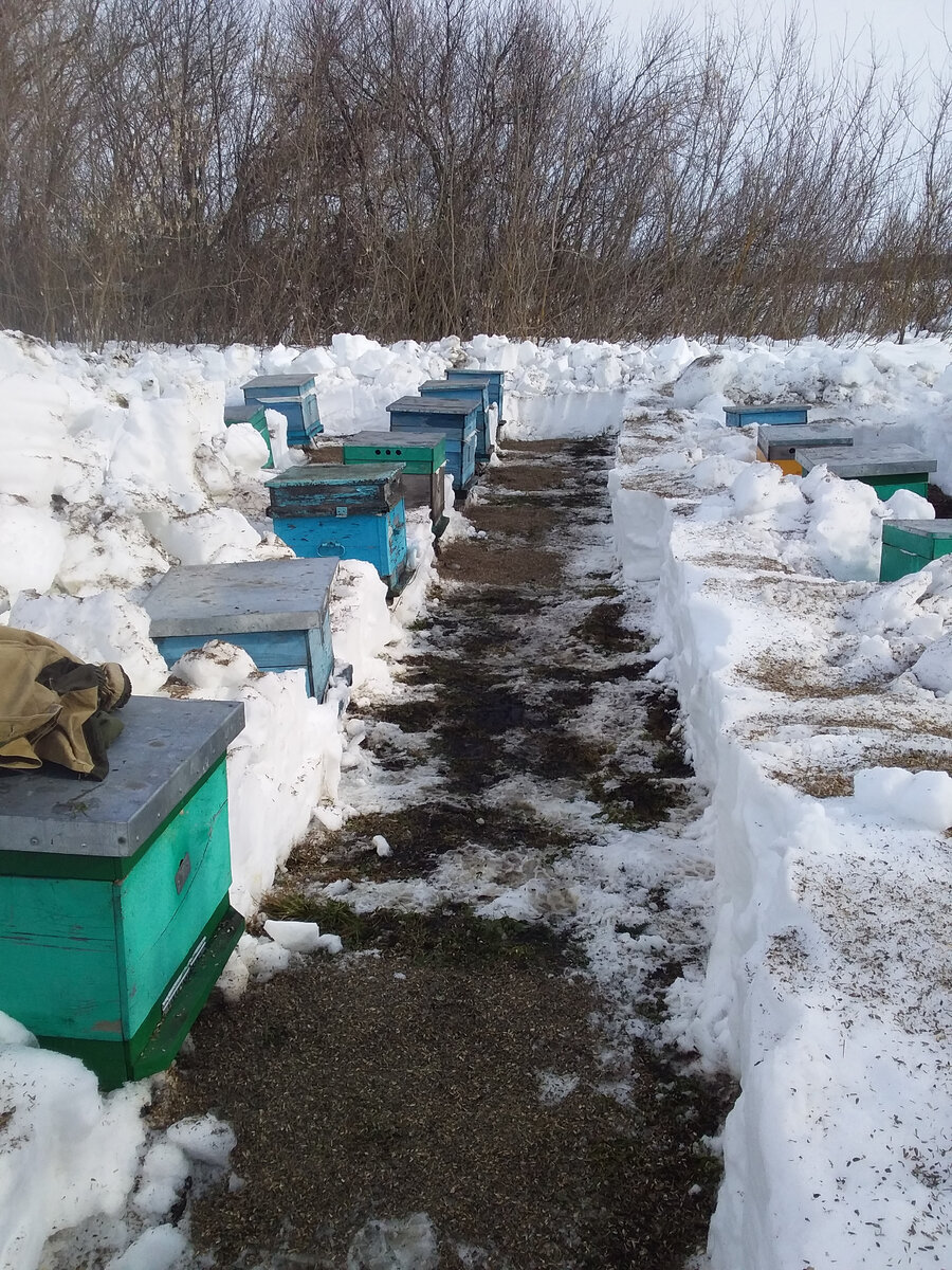 Расчищенный снег. 