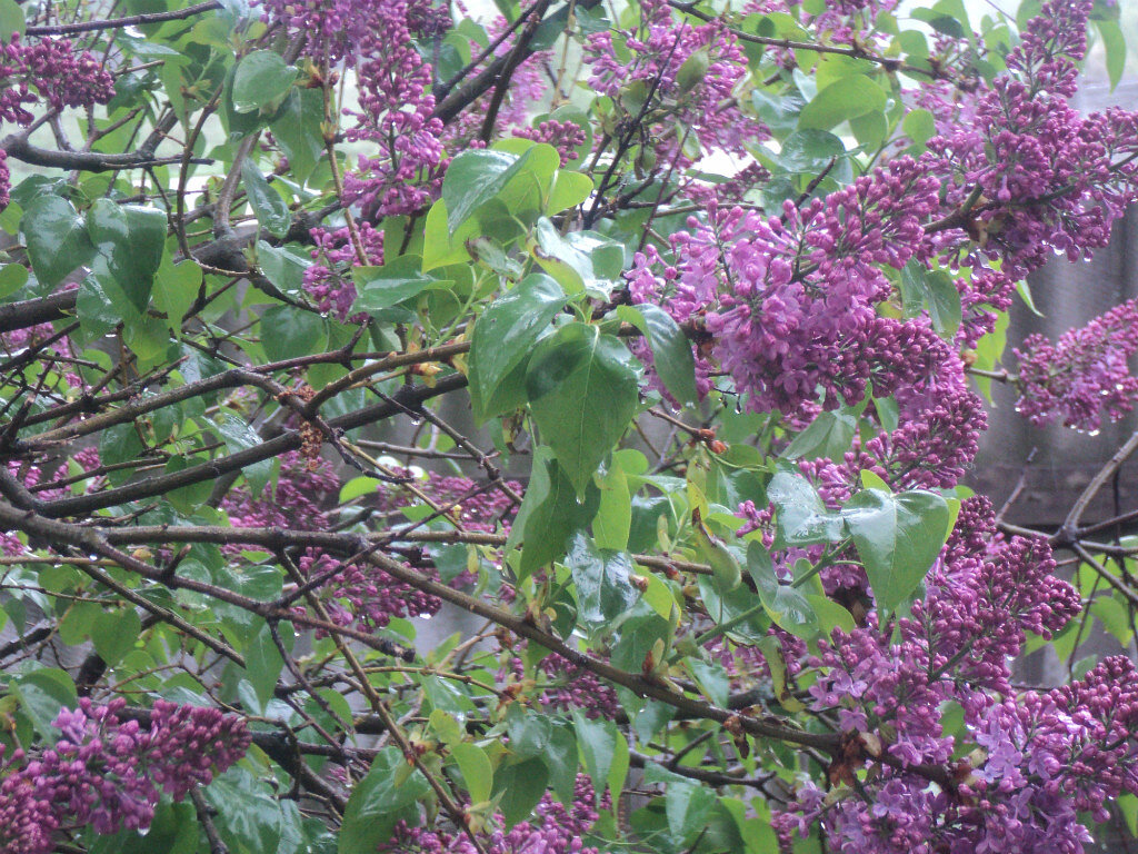 Фото автора канала