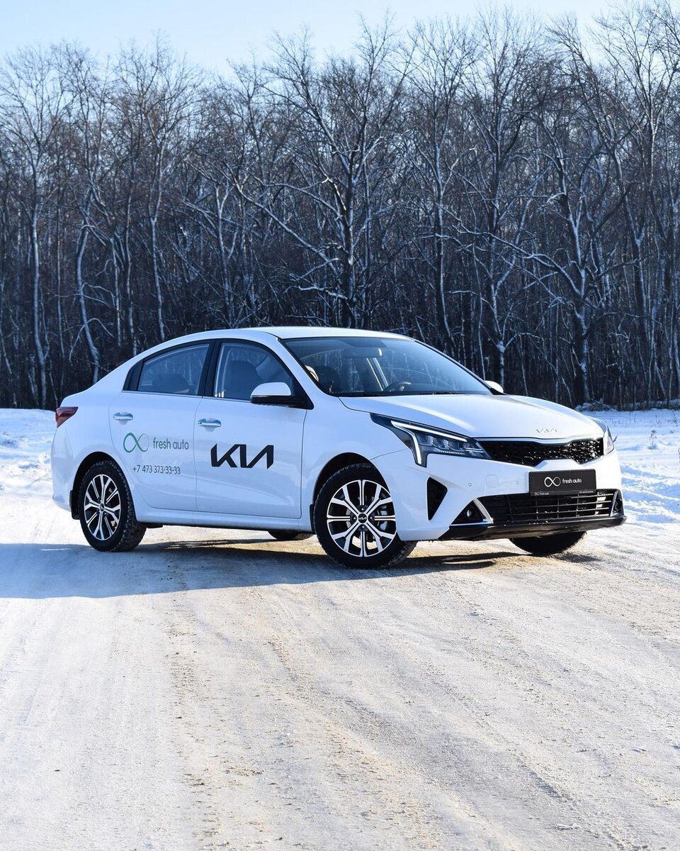 Поднять деньги на колёсах! Как заработать миллион на Kia Rio?